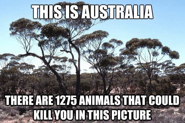 Australia-Kills-Meme